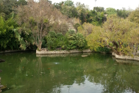 Alamo Heights area near San Antonio, Texas