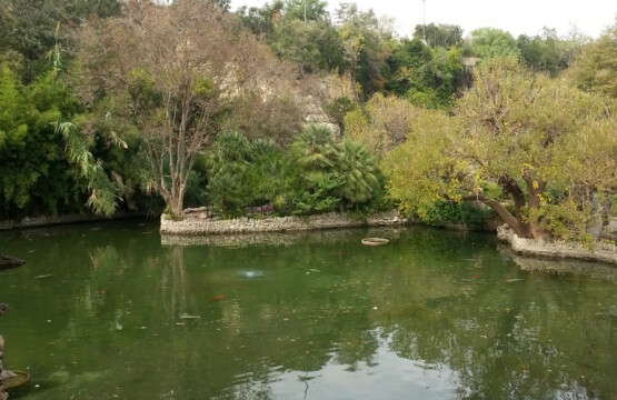 Alamo Heights